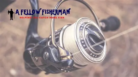 Top Canadian digital casinos overview